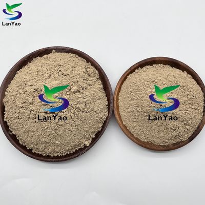 المضادات الحيوية الهوائية الهوائية البكتيريا الهوائية الهوائية في معالجة مياه الصرف الصحي الثقافة البكتيرية