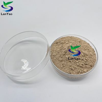 المضادات الحيوية الهوائية الهوائية البكتيريا الهوائية الهوائية في معالجة مياه الصرف الصحي الثقافة البكتيرية