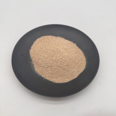 تنظيف المياه الكائنات الدقيقة العضوية البكتيريا الحد من الملوثات العضوية وتحسين المياه